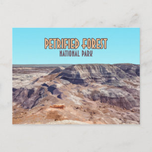 Versteinerter Wald Nationalpark Arizona Vintage Postkarte