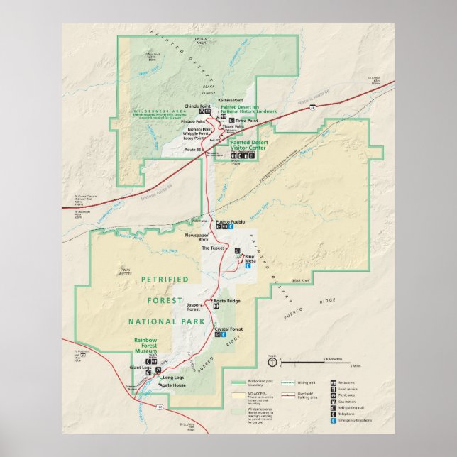 Versteinerter Wald-Nationalpark Poster (Vorne)