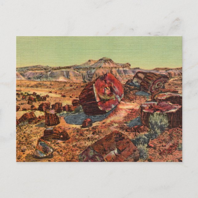 Versteinerter Wald Vintage Postkarte (Vorderseite)