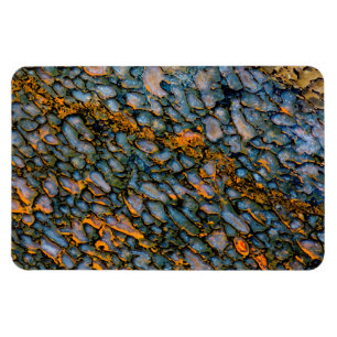 Versteinertes Dinosaurierskelett Magnet