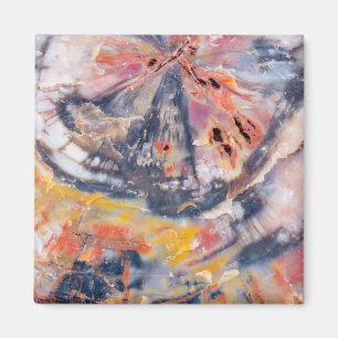 Versteinertes Holz Detail, Arizona Magnet