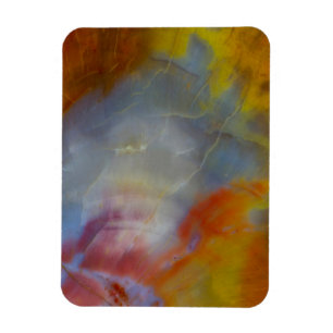 Versteinertes Holz Nahaufnahme Abstract Magnet