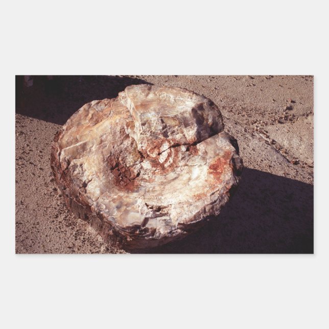 Versteinertes Holzlog mit Schatten Arizona-Foto Rechteckiger Aufkleber (Vorderseite)