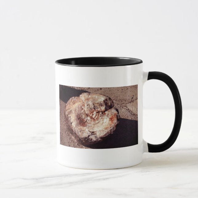 Versteinertes Holzlog mit Schatten Arizona-Foto Tasse (Rechts)