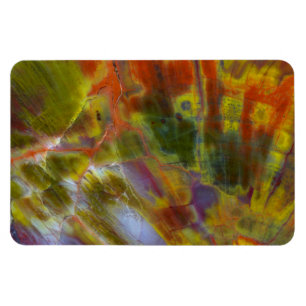 Versteinertes Regenbogenholz Magnet