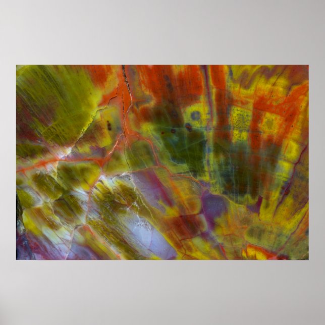 Versteinertes Regenbogenholz Poster (Vorne)