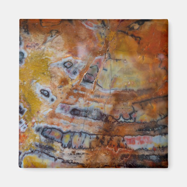 versteinertes Wood Brown Magnet (Vorne)