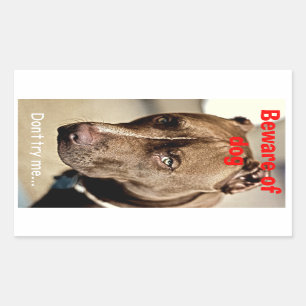 Versuchen Sie mich nicht… aufpassen vom Hund - Rechteckiger Aufkleber