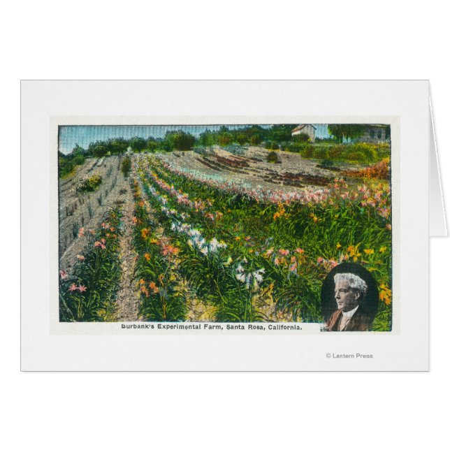 Versuchsfarm Burbanks (Vorderseite (Horizontal))