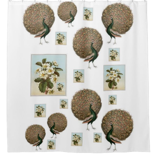 vert paon fleurs blanches douche rideau (Devant)