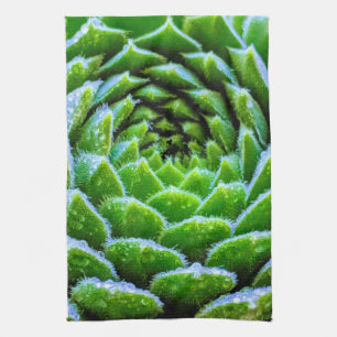 Vert Succulents Nature Photographie Torchon de thé