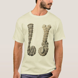 Vertebralina T-Shirt