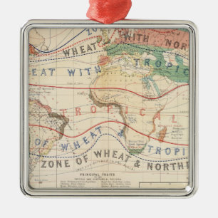 Verteilungs-Pflanzen Silbernes Ornament