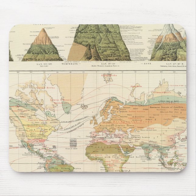 Verteilungsvegetation Mousepad (Vorne)