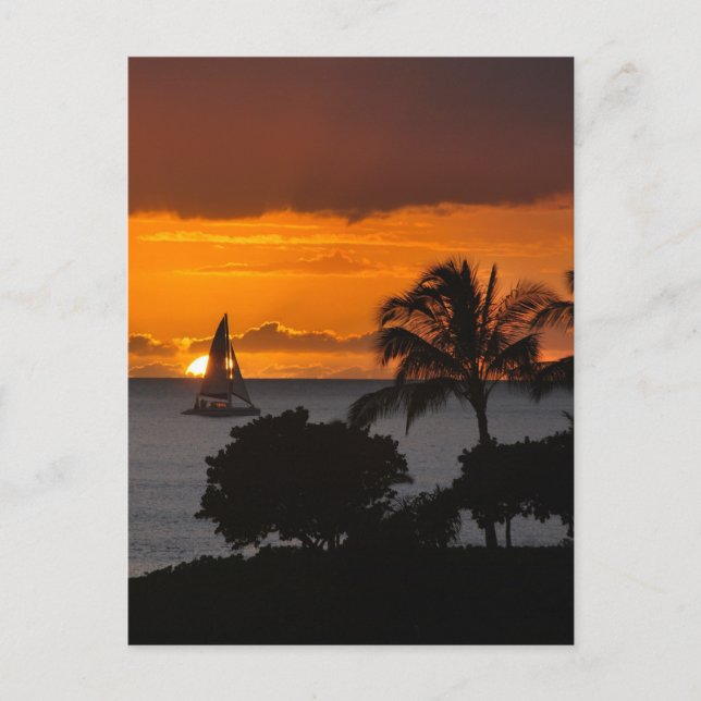 Vertikal auf der Postkarte - Hawaiianischer Sonnen (Vorderseite)