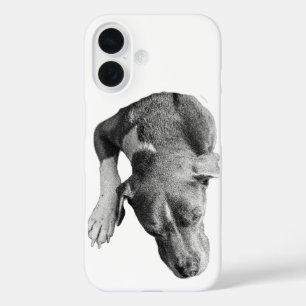 Vertikale Kruste - Kopf und Pfote iPhone 16 Hülle