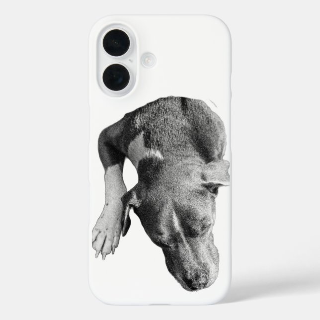 Vertikale Kruste - Kopf und Pfote iPhone 16 Hülle (Rückseite)