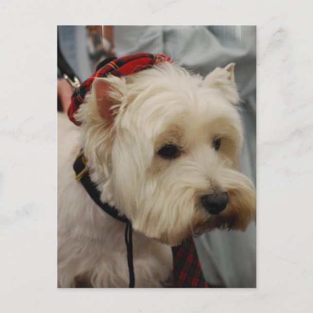 Vertikale Postkarte - Maßgeschneiderte Vorlage (Vorderseite)