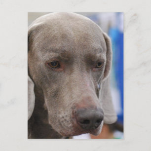 Vertikale Postkarte - Maßgeschneiderte Vorlage