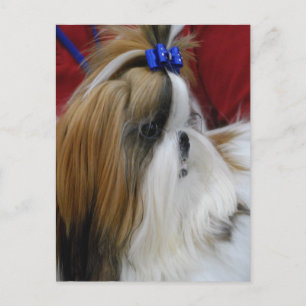 Vertikale Postkarte - Maßgeschneiderte Vorlage