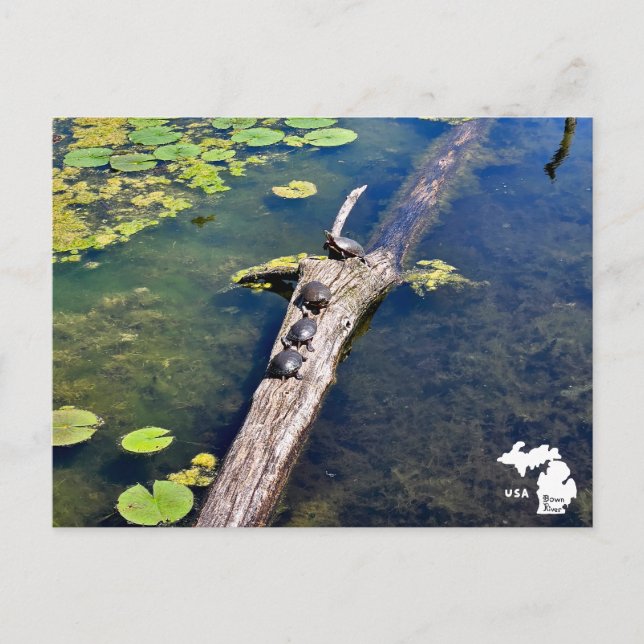 Vertikales Logo des Lake Erie Metropark Turtle Log Postkarte (Vorderseite)