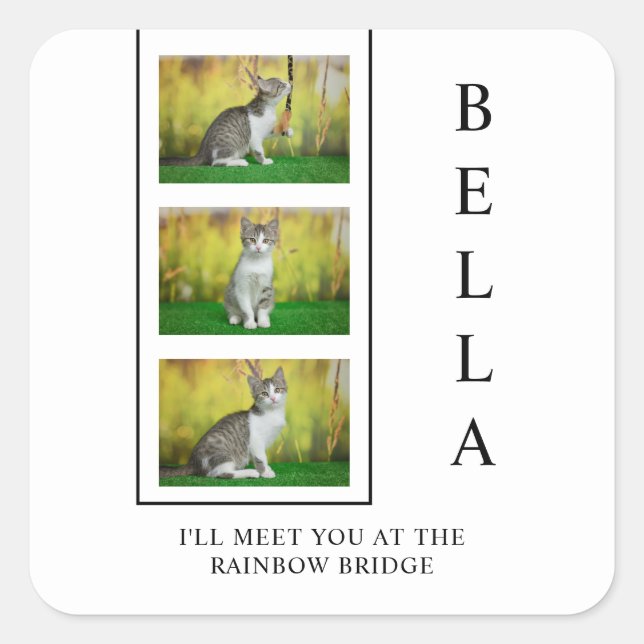 Vertikales Pet-Memorial-Layout mit Foto-Trio Quadratischer Aufkleber (Vorderseite)