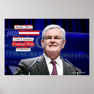 Vertrag von Newt 2012 - 21. Jahrhundert mit Amerik Poster