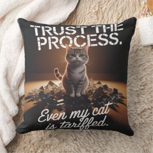Vertrau dem Prozess Katze Büro Humor Meme Kissen
