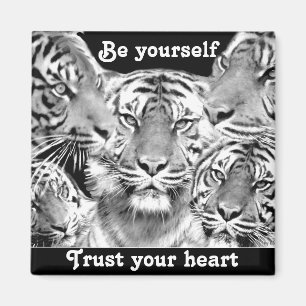 Vertrauen & Be.._Magnet Magnet
