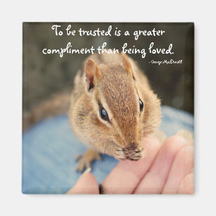 Vertrauen des Chipmunk-Magneten Magnet