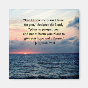 VERTRAUEN IM JEREMIAH 29:11 SONNENVERSE MAGNET