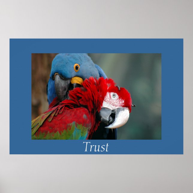 Vertrauen Poster (Vorne)