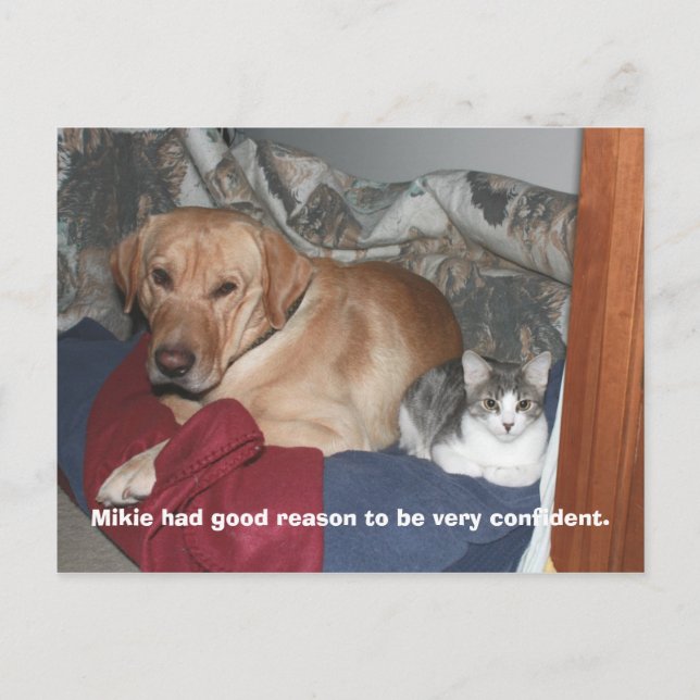 Vertrauen Postkarte (Vorderseite)