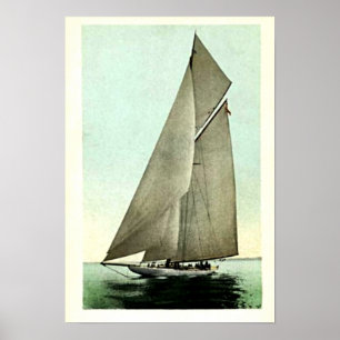 Vertrauen-Yacht-Amerikas Cup-Sieger 1903 Poster