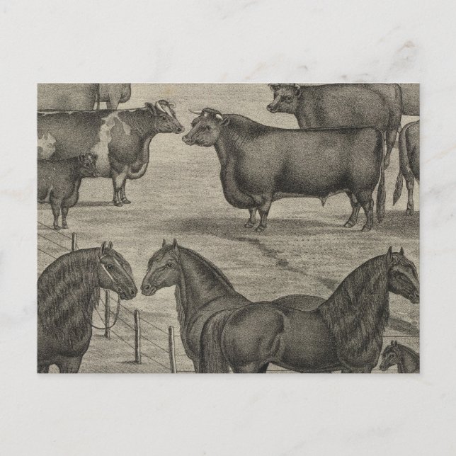 Vertreter von Kansas Postkarte (Vorderseite)