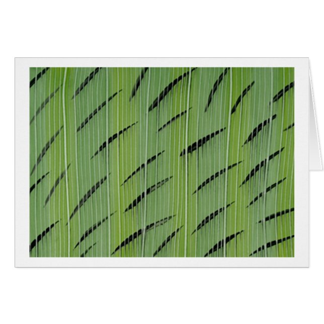 Verts en bambou (Devant horizontal)