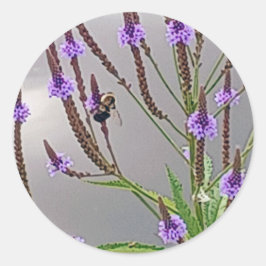 Vervain Sticker