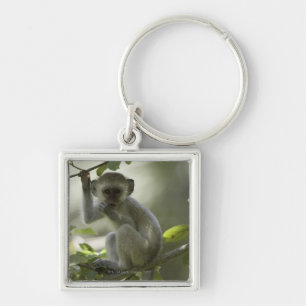 Vervet Affe, Simbabwe Schlüsselanhänger
