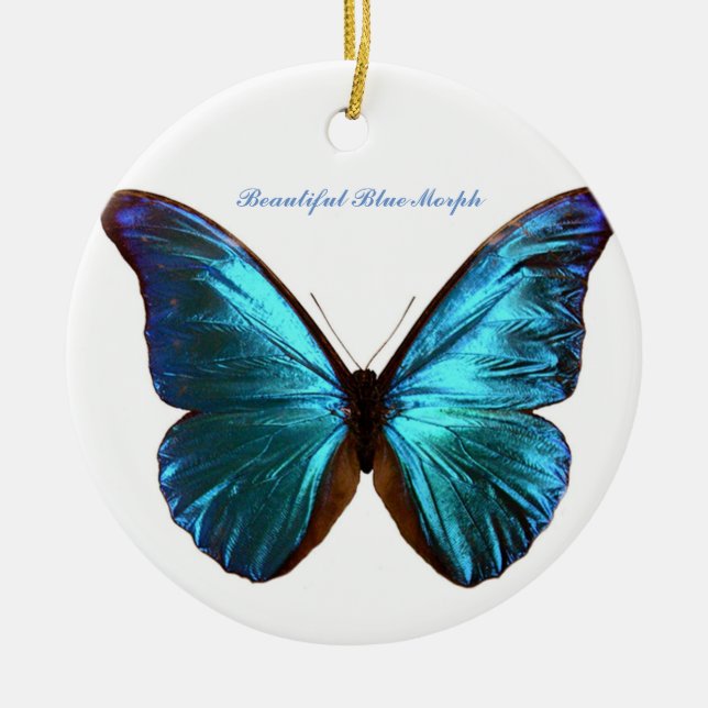 Verwandeln Sie Schmetterlingsverzierung Keramik Ornament (Vorne)