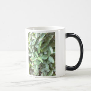 Verwandelnde Tasse des Fotos