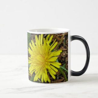 Verwandelnde Tasse Löwenzahn