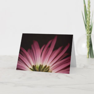 Verwelktes lila Gänseblümchen Karte