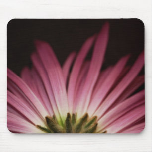 Verwelktes lila Gänseblümchen Mousepad