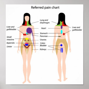 Verwiesenes Schmerzdiagramm Plakat