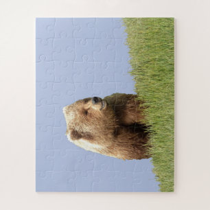 Verwirren Sie 16x20 "56 übergroße Stücke" des