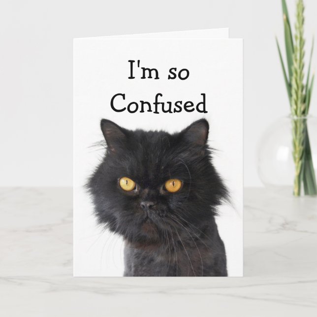 Verwirrte schwarze persische Katze Happy Birthday Karte (Vorderseite)