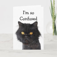 Verwirrte schwarze persische Katze Happy Birthday