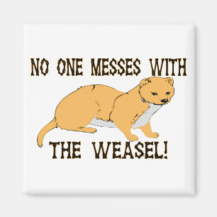 Verwirrung mit dem Weasel Magnet