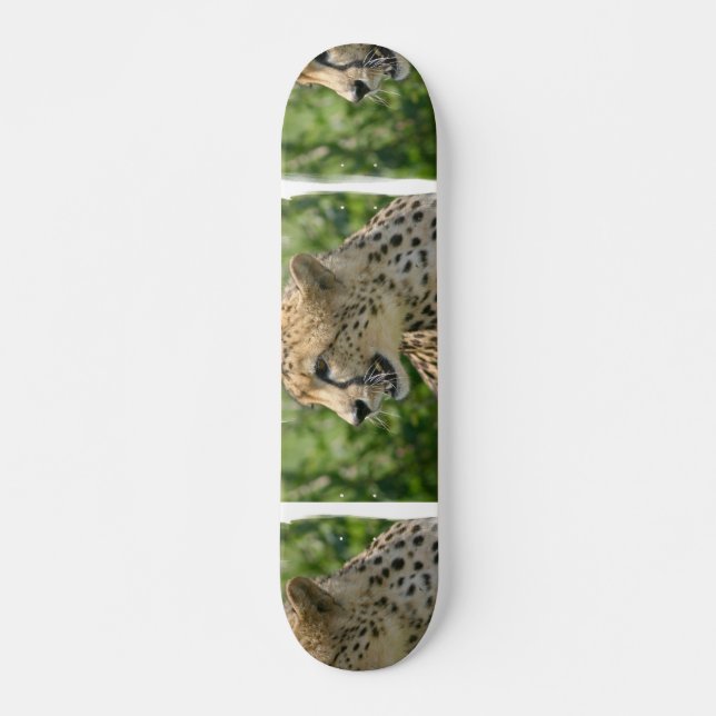 Verwirrungs-Gepard-Skateboard Skateboard (Vorne)
