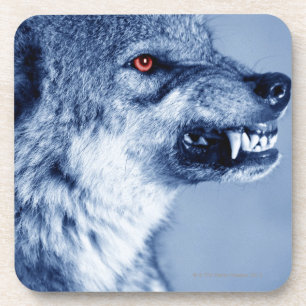 Verwirrungswolf (CanisLupus), Profil (Digital Getränkeuntersetzer